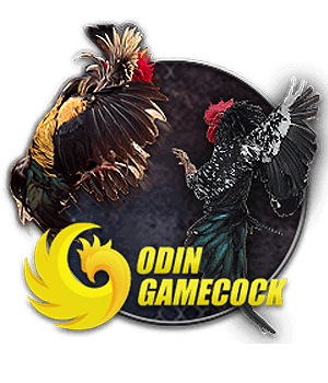 sub animal od cock 1