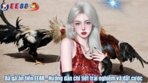 Đá gà ăn tiền EE88 – Hướng dẫn chi tiết trải nghiệm và đặt cược